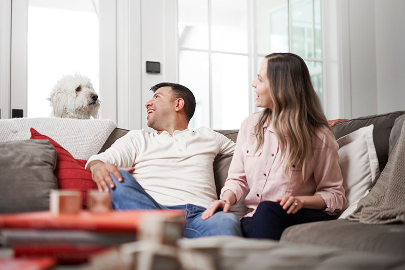 Solved!: Do Air Purifiers Reduce Allergies?