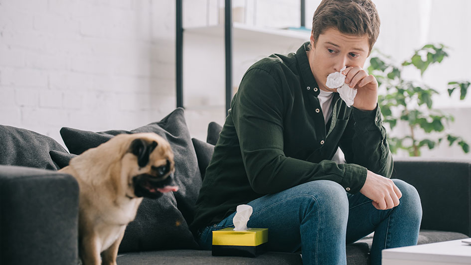 Getting an air purifier is one of the wisest approaches to boost your house’s indoor air quality. Discover more about the three smartest solutions. 